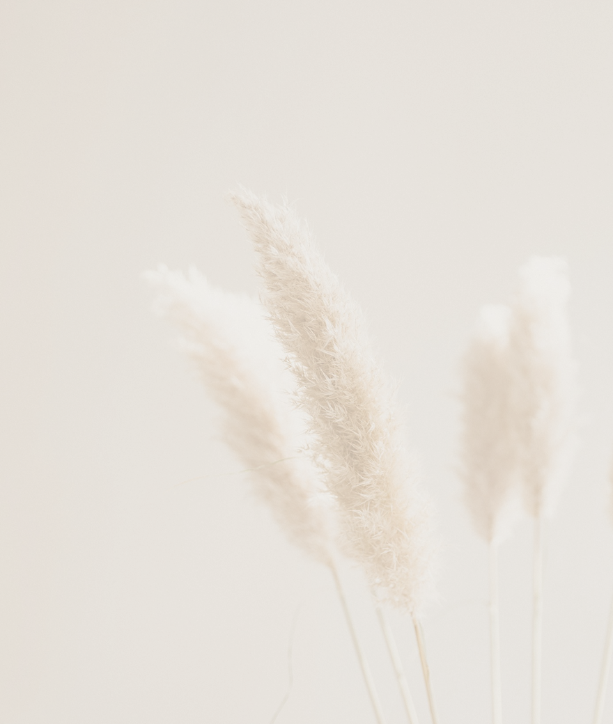 Flowers swaying in the wind